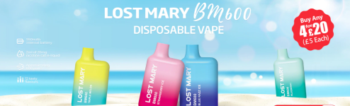 lost mary disposable vape