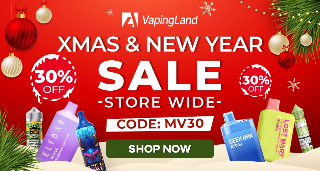 1024 547Xmas New Year 30 OFF