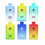 Best Price $10.99 for Tugpod BOX Disposable Vape 7000 Puffs 15ml – Tugpod Deals