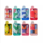 Now Pay $15.99 for Elf Bar TE6000 Disposable Vape Kit 6000 Puffs 14ml – Elf Bar Coupons