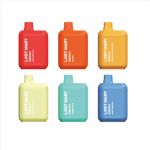 Only Pay $11.99 for Lost Mary BM5000 Vape Rechargeable Disposable Kit 5000 Puffs 14ml – Lost Mary Deals