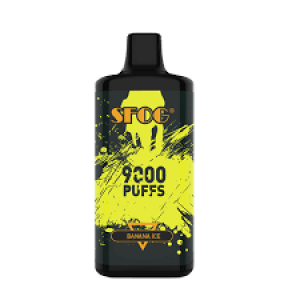 Sfog Big Bang 