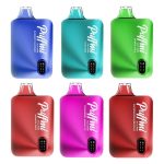 Puffmi Dura Disposable Vape
