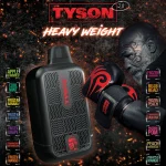 Tyson 2.0 Heavyweight