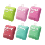Nice Price $14.99 for Pi9000 Disposable Vape Kit 9000 Puffs 19ml – EBDESIGN Deals