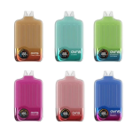 Only Pay $8.79 for OVNS Prime 16000 Disposable Vape Kit 20ml – OVNS Deals