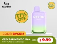 Geek Bar Meloso MAX