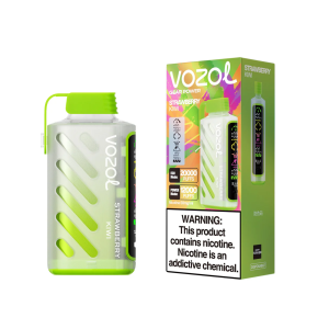 Vozol Gear Power 20000