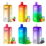Best Price $5.90 for VAPGO BAR Vmax 12000 Disposable Vape – VAPGO Coupon
