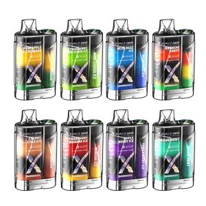 VAPGO BAR X 12000