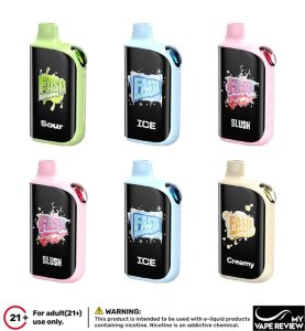Fasta Burrst V2 37000
