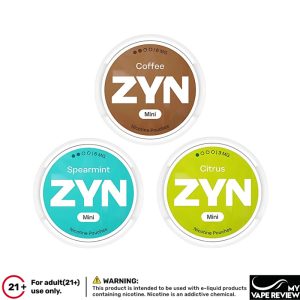  ZYN Nicotine Pouches