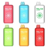 Just Pay $11.49 for Pillow Talk IC40000 Ice Control Disposable Vape 20ml – Pillow Talk Deal