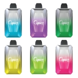 Just Pay $12.59 for Space Max Glow 20000 Disposable Vape Kit 22ml – Space Max Deals