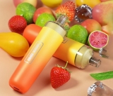 28% off($15.11) for Geekbar X6000 Rechargeable Disposable Vape 6000 Puffs – Eleaf USA