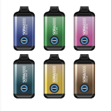 Best Price $11.99 for Sora 8000 Puffs Disposable Vape Kit 16ml – Sora Promo Codes