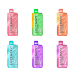 Best Price $12.99 for Lost Mary MT15000 Turbo Disposable Vape 5% – Lost Mary Deals