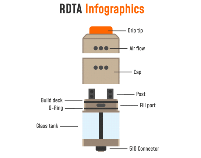 rdta anatomiyasi