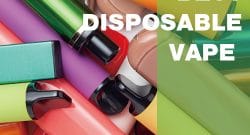 best disposable vapes