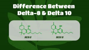 Delta 10 vs Delta 8