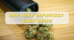 how to use a dry herb vaporizer