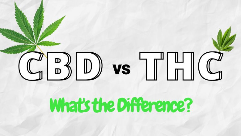 CBD مقابل THC