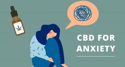 CBD contre l'anxiété