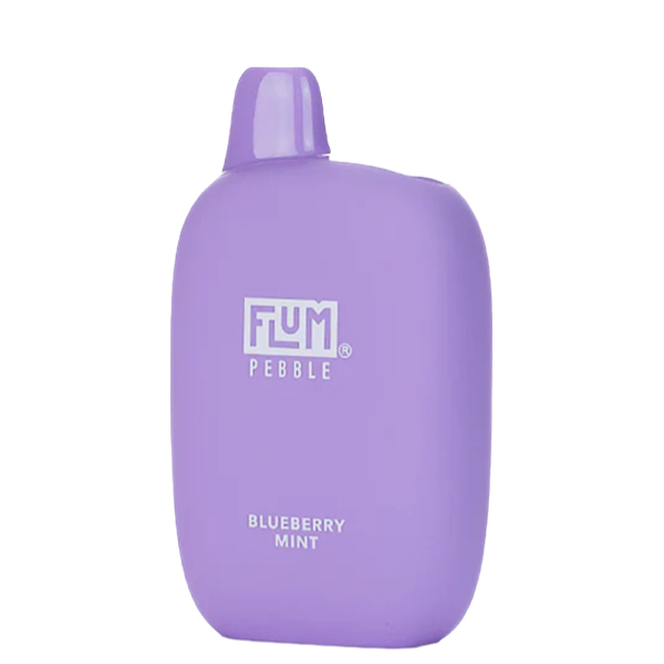 Flum Pebble Blueberry Mint