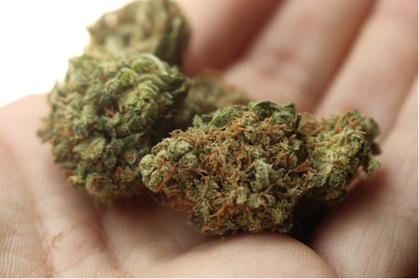 7 Ways To Get Premium Weed Delivery In Oshawa