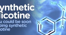 Nicotine synthétique