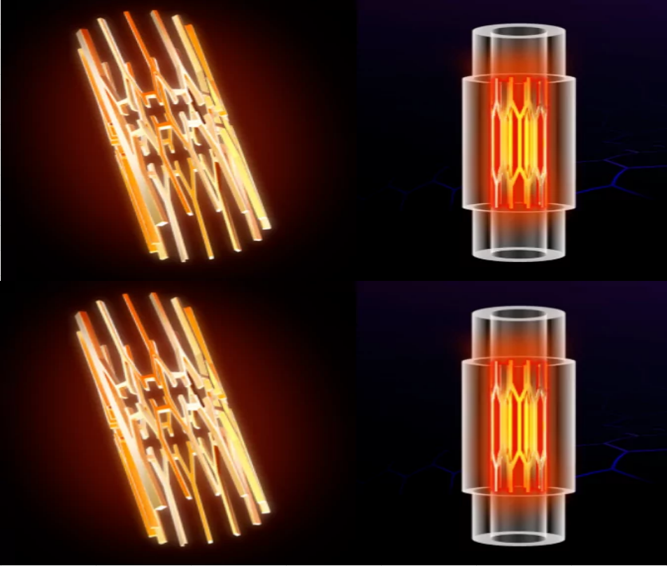 20241021 182556