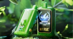 MR FOG NOVA Mint Steezy