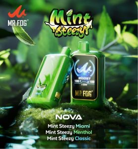 MR FOG NOVA Mint Steezy