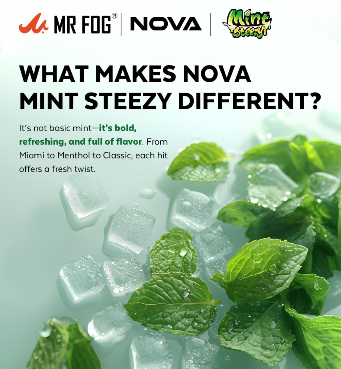 MR FOG NOVA Mint Steezy