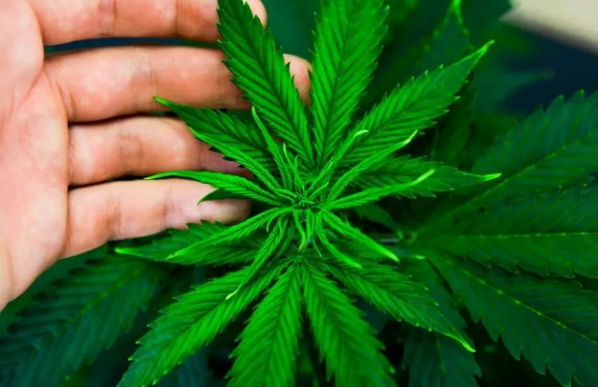 2025 12 22 200451 006