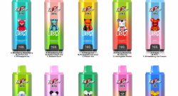 Aivono AIM Fat Bear 80000