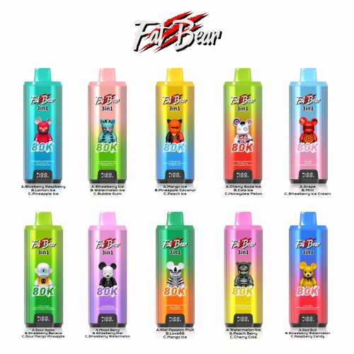 Aivono AIM Fat Bear 80000