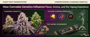 cannabis genetics flavor aroma vaping