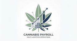 cannabis payroll