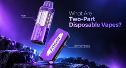 what are two-part disposable vapes pod dock cover