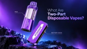 what are two-part disposable vapes pod dock cover